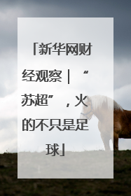 新华网财经观察｜“苏超”，火的不只是足球