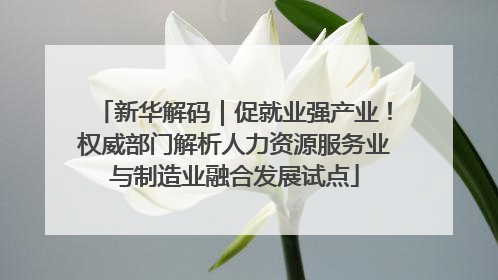 新华解码｜促就业强产业！权威部门解析人力资源服务业与制造业融合发展试点