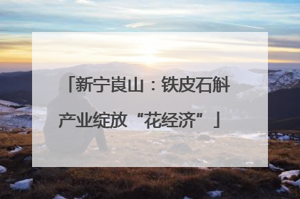 新宁崀山：铁皮石斛产业绽放“花经济”