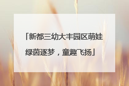 新都三幼大丰园区萌娃绿茵逐梦,童趣飞扬