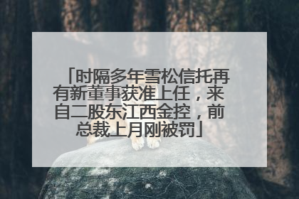 时隔多年雪松信托再有新董事获准上任，来自二股东江西金控，前总裁上月刚被罚
