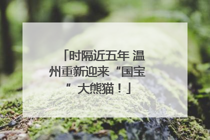 时隔近五年 温州重新迎来“国宝”大熊猫！