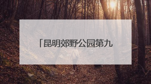 昆明郊野公园第九届绣球花展启幕 近万株绣球花等你赏