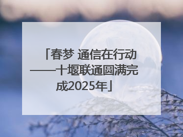 春梦 通信在行动——十堰联通圆满完成2025年