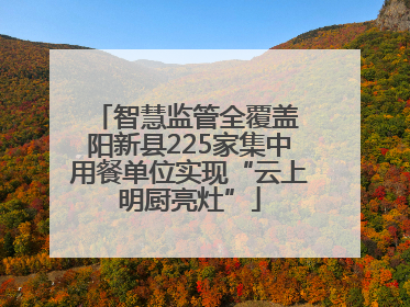 智慧监管全覆盖 阳新县225家集中用餐单位实现“云上明厨亮灶”