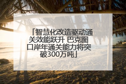 智慧化改造驱动通关效能跃升 巴克图口岸年通关能力将突破300万吨
