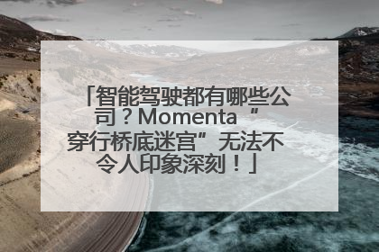 智能驾驶都有哪些公司？Momenta“穿行桥底迷宫”无法不令人印象深刻！