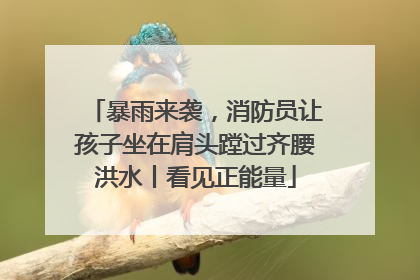 暴雨来袭，消防员让孩子坐在肩头蹚过齐腰洪水丨看见正能量