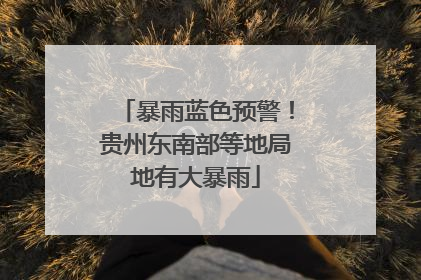 暴雨蓝色预警！贵州东南部等地局地有大暴雨