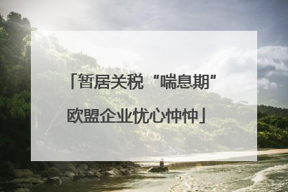 暂居关税“喘息期” 欧盟企业忧心忡忡