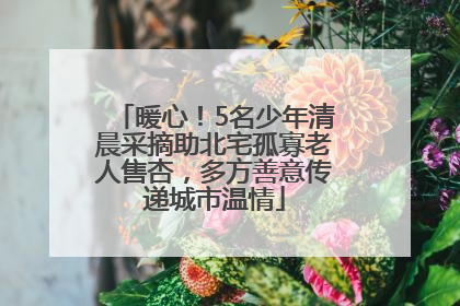 暖心！5名少年清晨采摘助北宅孤寡老人售杏，多方善意传递城市温情