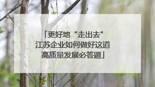 更好地“走出去” 江苏企业如何做好这道高质量发展必答题