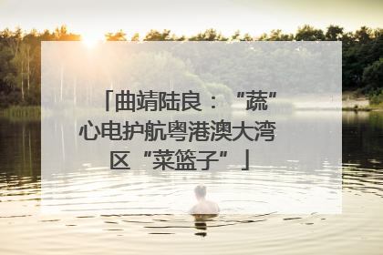 曲靖陆良：“蔬”心电护航粤港澳大湾区“菜篮子”