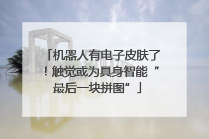 机器人有电子皮肤了！触觉或为具身智能“最后一块拼图”