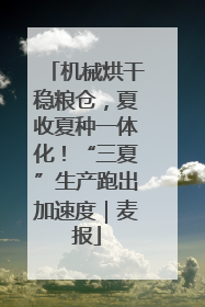 机械烘干稳粮仓，夏收夏种一体化！“三夏”生产跑出加速度｜麦报
