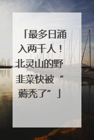 最多日涌入两千人！北灵山的野韭菜快被“薅秃了”
