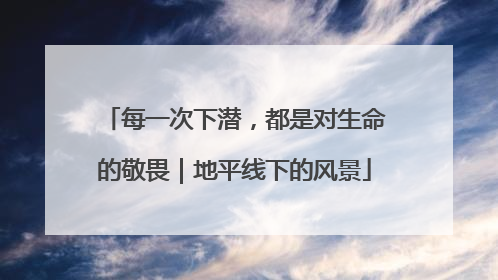 每一次下潜，都是对生命的敬畏｜地平线下的风景