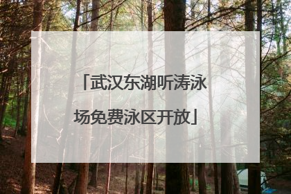 武汉东湖听涛泳场免费泳区开放