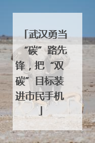 武汉勇当“碳”路先锋，把“双碳”目标装进市民手机