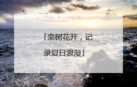 栾树花开，记录夏日浪漫