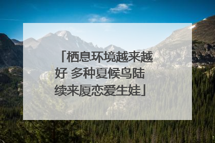 栖息环境越来越好 多种夏候鸟陆续来厦恋爱生娃