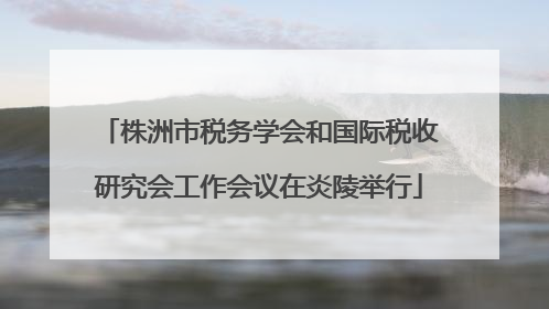 株洲市税务学会和国际税收研究会工作会议在炎陵举行