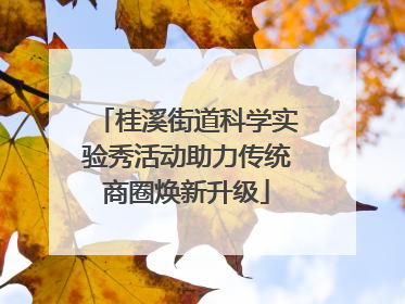 桂溪街道科学实验秀活动助力传统商圈焕新升级