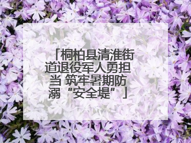 桐柏县清淮街道退役军人勇担当 筑牢暑期防溺“安全堤”