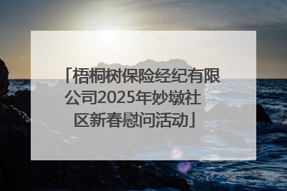 梧桐树保险经纪有限公司2025年妙墩社区新春慰问活动