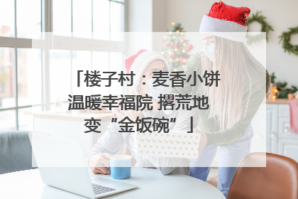 楼子村：麦香小饼温暖幸福院 撂荒地变“金饭碗”