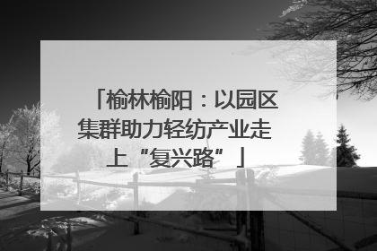 榆林榆阳：以园区集群助力轻纺产业走上“复兴路”