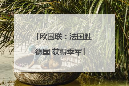 欧国联：法国胜德国 获得季军