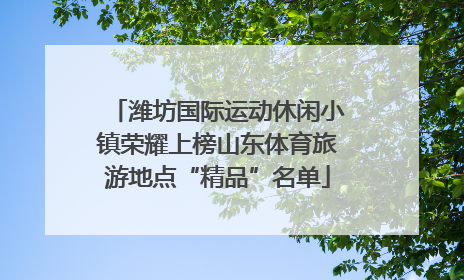 潍坊国际运动休闲小镇荣耀上榜山东体育旅游地点“精品”名单