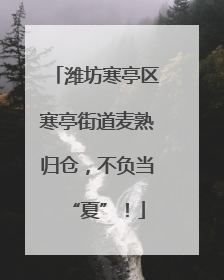 潍坊寒亭区寒亭街道麦熟归仓，不负当“夏”！