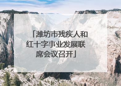 潍坊市残疾人和红十字事业发展联席会议召开