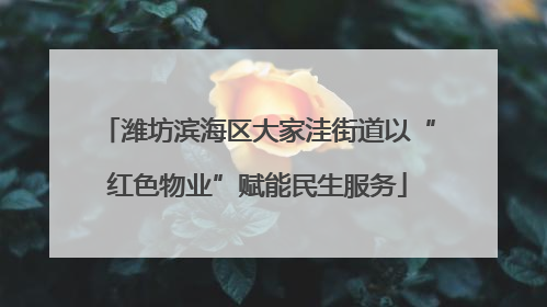 潍坊滨海区大家洼街道以“红色物业”赋能民生服务
