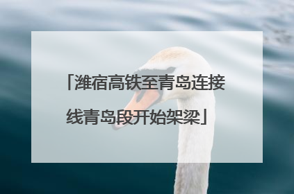 潍宿高铁至青岛连接线青岛段开始架梁