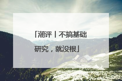 潮评丨不搞基础研究，就没根
