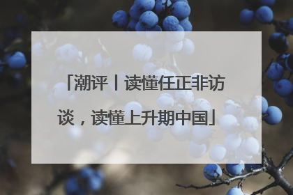 潮评丨读懂任正非访谈，读懂上升期中国