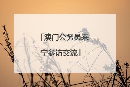 澳门公务员来宁参访交流