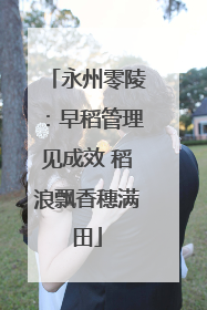 永州零陵：早稻管理见成效 稻浪飘香穗满田