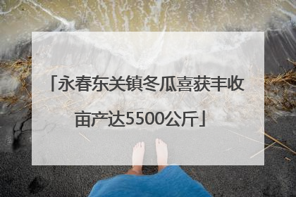 永春东关镇冬瓜喜获丰收 亩产达5500公斤