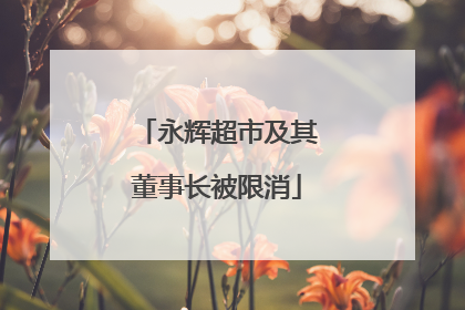 永辉超市及其董事长被限消