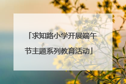求知路小学开展端午节主题系列教育活动