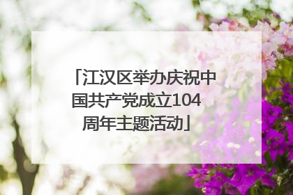 江汉区举办庆祝中国共产党成立104周年主题活动