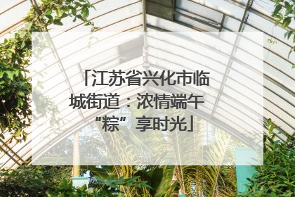 江苏省兴化市临城街道：浓情端午 “粽”享时光
