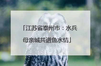 江苏省泰州市：水兵母亲城共谱鱼水情
