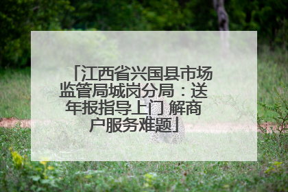 江西省兴国县市场监管局城岗分局：送年报指导上门 解商户服务难题