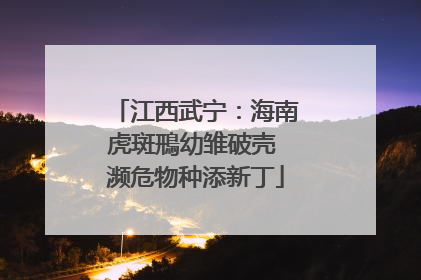 江西武宁：海南虎斑鳽幼雏破壳 濒危物种添新丁