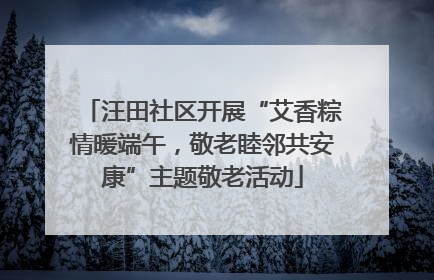 汪田社区开展“艾香粽情暖端午，敬老睦邻共安康”主题敬老活动